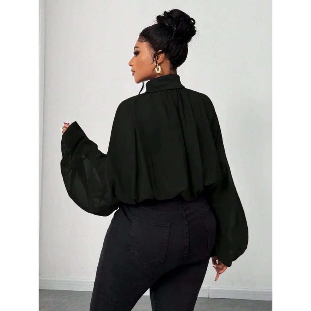 Women's High Neck Solid Color Sheer Shirt Blouses Shirts