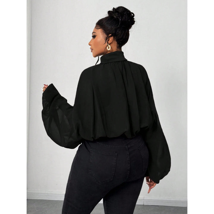 Women's High Neck Solid Color Sheer Shirt Blouses Shirts