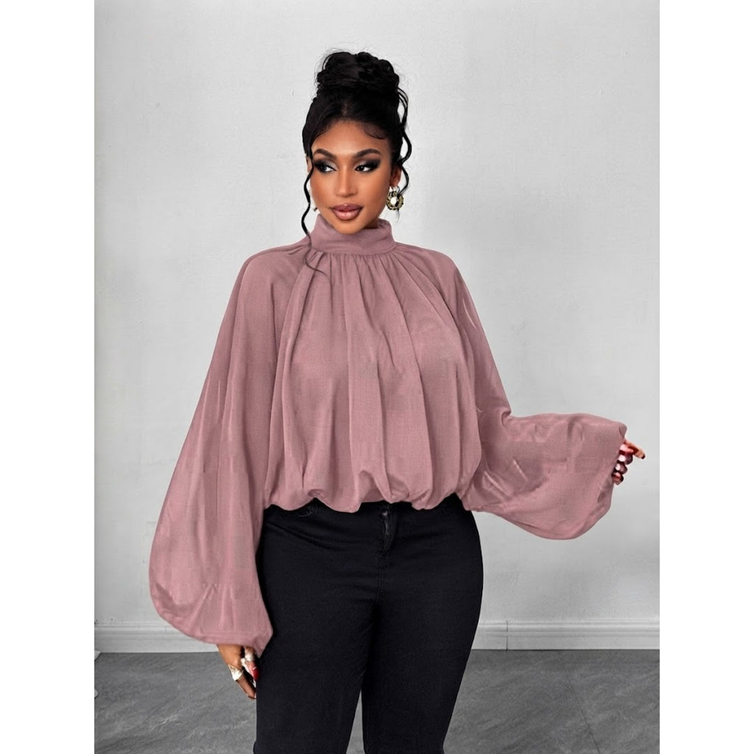 Women's High Neck Solid Color Sheer Shirt Blouses Shirts