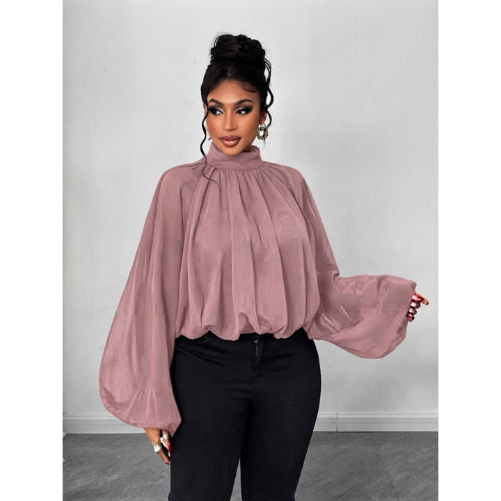 Women's High Neck Solid Color Sheer Shirt Blouses Shirts