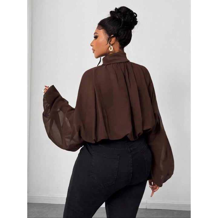 Women's High Neck Solid Color Sheer Shirt Blouses Shirts