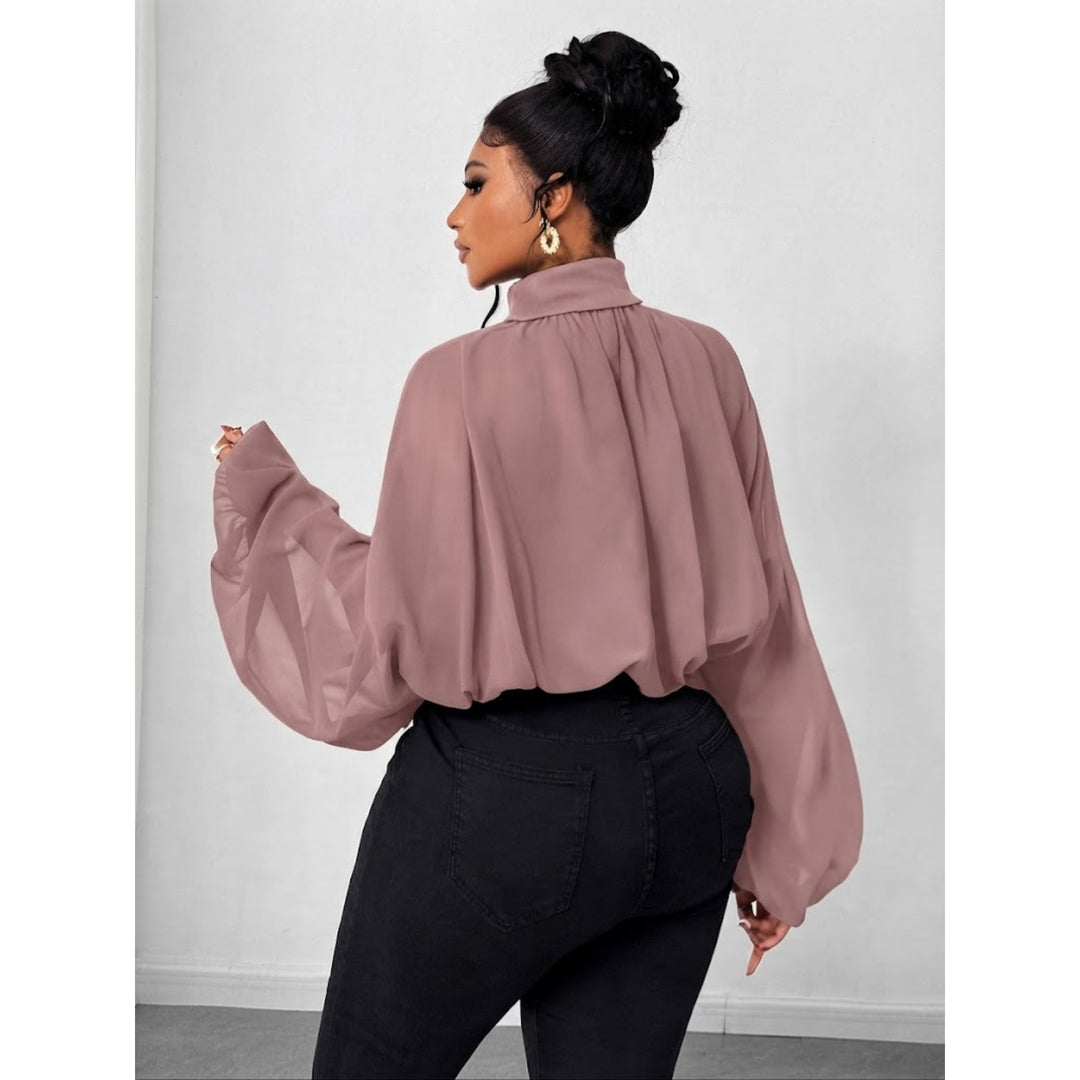 Women's High Neck Solid Color Sheer Shirt Blouses Shirts